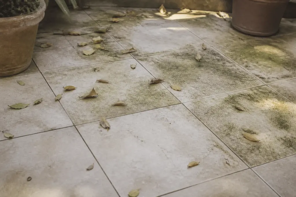 Terrasse carrelée avec feuilles mortes et taches vertes visibles