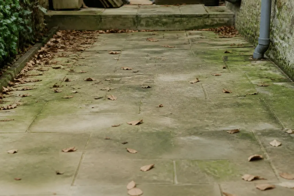 Terrasse en pierre avec feuilles mortes et traces vertes visibles