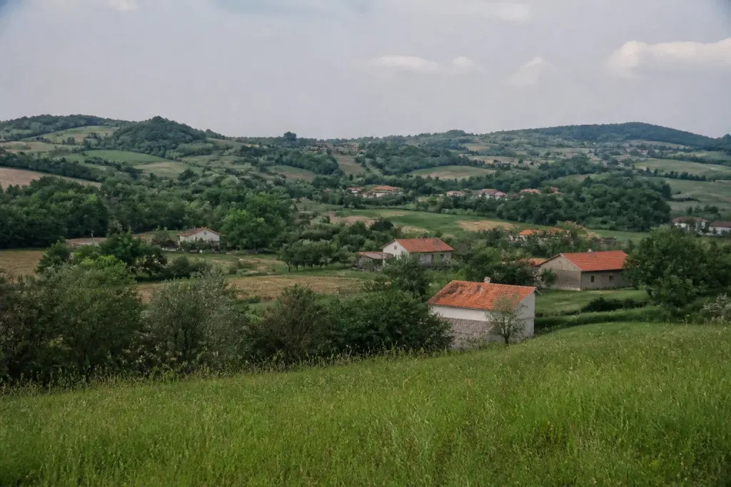 Maisons toits rouges dispersees parmi champs verts