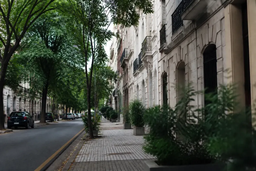 Rue avec facades maisons arbres verts et commerces