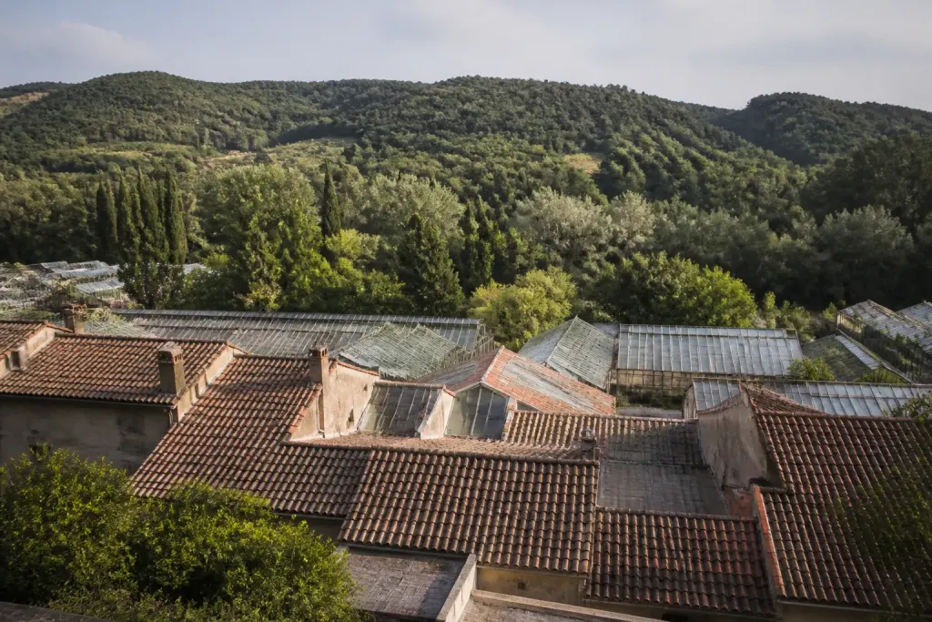 vue aerienne de toits serres et collines boisees